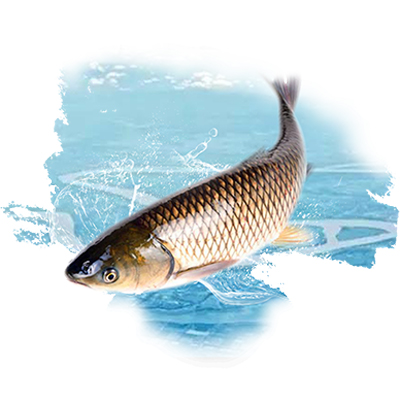 研發(fā)平臺